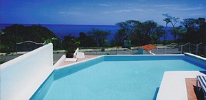 Infinity pool overlooking a coastal road, with trees and the ocean in the background under a blue sky.